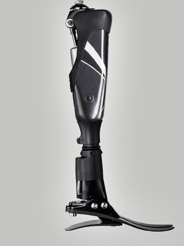 當(dāng)寄居蟹穿上“定制新家” 3D打印假肢與矯形器如何為特殊動(dòng)物伙伴帶來(lái)新生